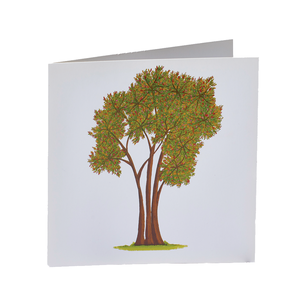 Illustration of a tree with three brown trunks with a green, orange and red canopy on a white background