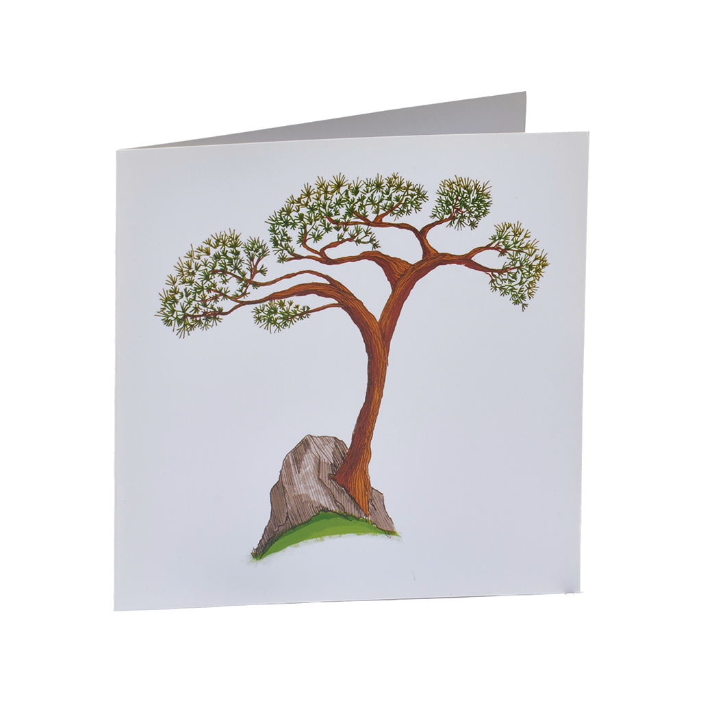 Tree with a brown trunk and green leaves on a white card